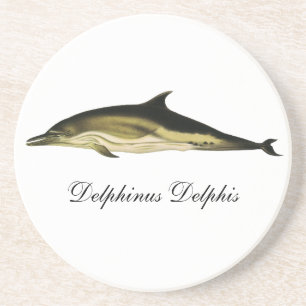 Porta-copos De Arenito Golfo Delphinus Delphis, Animais Marinhos Vintage