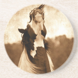 Porta-copos De Arenito Gypsy Vanner