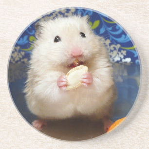 Porta-copos De Arenito Hamster sírio macio Kokolinka que come uma sement