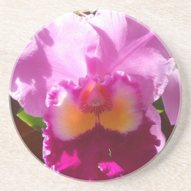 Porta-copos De Arenito Harlinde (Frente)