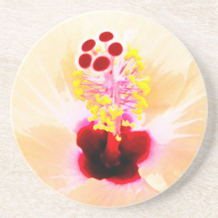 Porta-copos De Arenito Hibiscus rosa