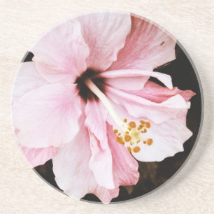 Porta-copos De Arenito Hibiscus rosa