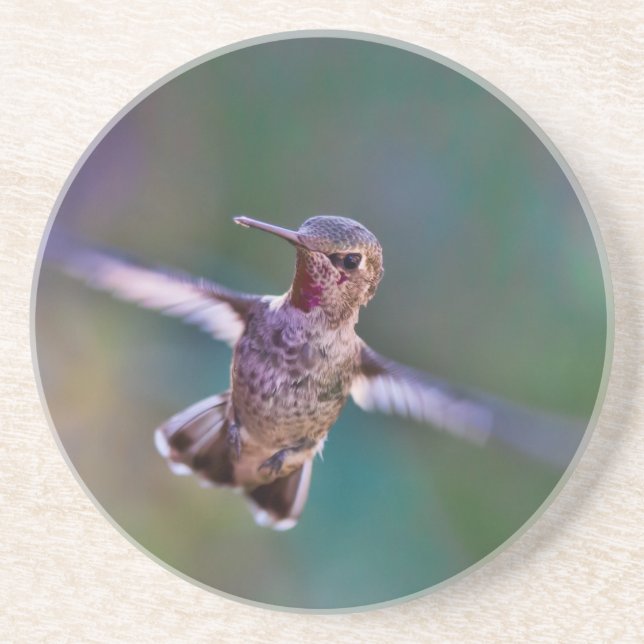 Porta-copos De Arenito Hummingbird (Frente)