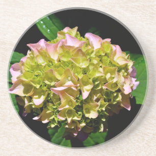 Porta-copos De Arenito Hydrangea verde e rosa