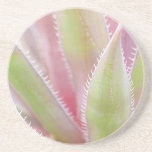 Porta-copos De Arenito Instalação de Yucca