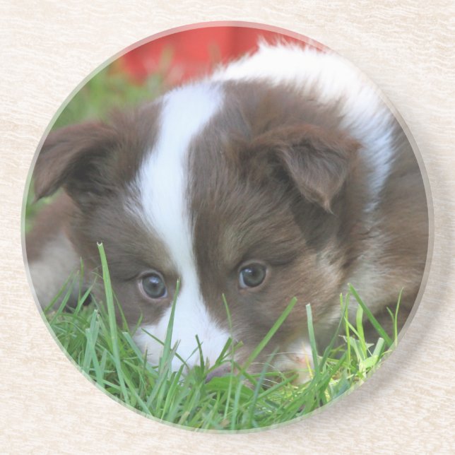 Porta-copos De Arenito Islandhund (Frente)