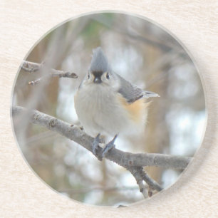 Porta-copos De Arenito Itens do Titmouse Tufado (Baeolophus bicolor)