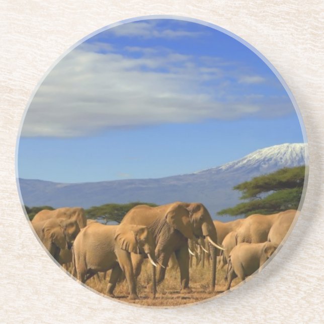 Porta-copos De Arenito Kilimanjaro e elefantes (Frente)