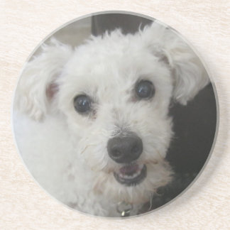 Porta-copos De Arenito Lambchop II