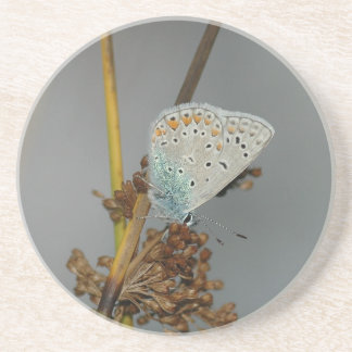 Porta-copos De Arenito Laranja Branco Azul com Borboleta Preta