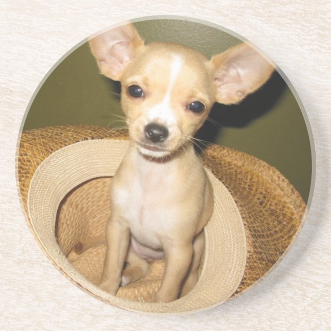 PORTA-COPOS DE ARENITO LEMON DROP CHIHUAHUA (Frente)