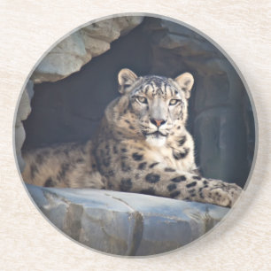 Porta-copos De Arenito Leopardo de Neve