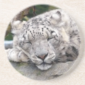 Porta-copos De Arenito Leopardo de Neve - lindo!