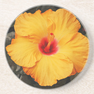 Porta-copos De Arenito Linda flor de hibisco laranja
