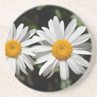 Porta-copos De Arenito Lindas flores de margarida brancas puras