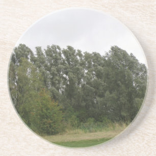 Porta-copos De Arenito Linha de Portas copos de Paisagem de Árvores Ador