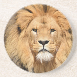 Porta-copos De Arenito Lions Head
