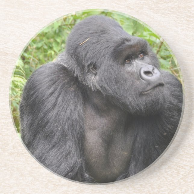 Porta-copos De Arenito Macaco Feliz (Frente)