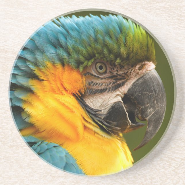 Porta-copos De Arenito macaw ruffled (Frente)