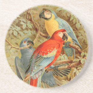 Porta-copos De Arenito Macaws coloridos do vintage