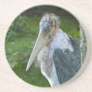 Porta-copos De Arenito Marabou