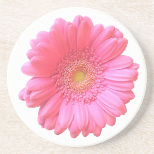 Porta-copos De Arenito Margarida cor-de-rosa do gerbera