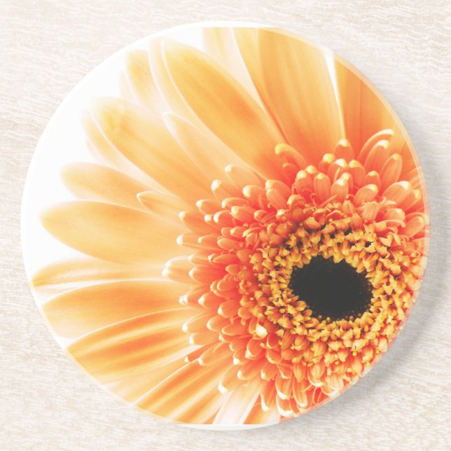 Porta-copos De Arenito Margarida Gerbera (Frente)