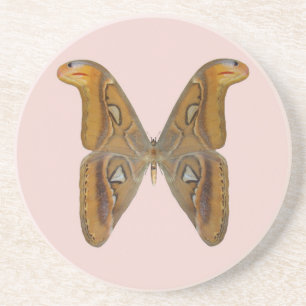 Porta-copos De Arenito Mariposa Atlas
