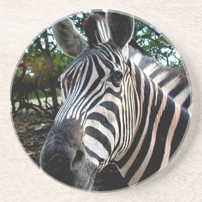 Porta-copos De Arenito Meu Amigo De Disquete (Frente)