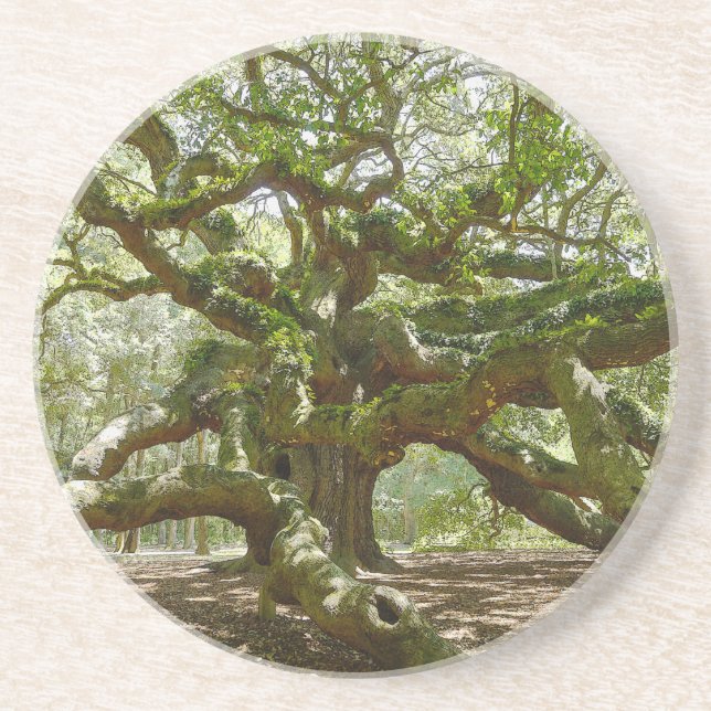 Porta-copos De Arenito Mighty Angel Oak (Frente)