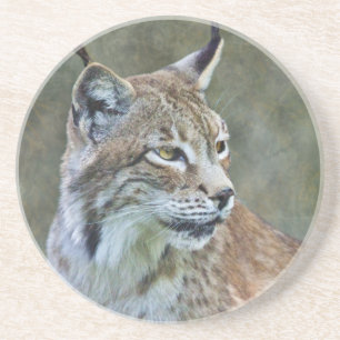 Porta-copos De Arenito Montanha-russa do Lince Siberiano