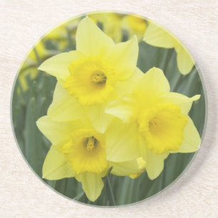 Porta-copos De Arenito Narcisos RF)