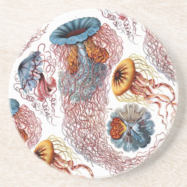 Porta-copos De Arenito O disco Medusae de Ernst Haeckel (Frente)