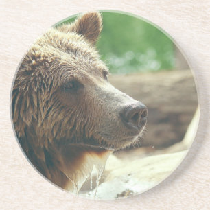 Porta-copos De Arenito Olhos animais da cara do urso adorável bonito da
