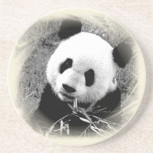 Porta-copos De Arenito Olhos da panda