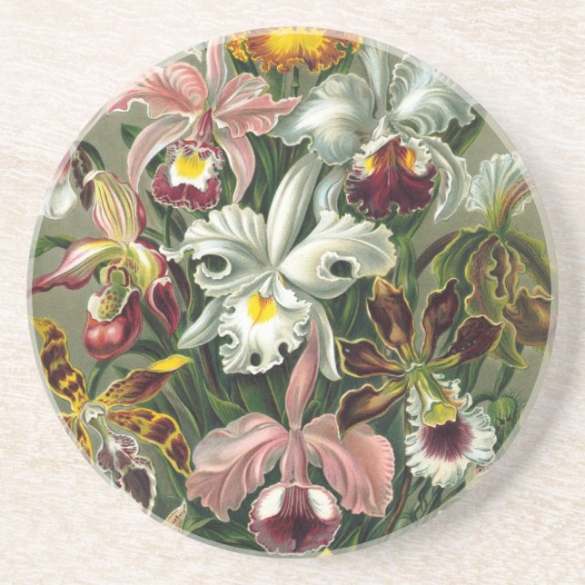 Porta-copos De Arenito Orquídeas Haeckel (Frente)