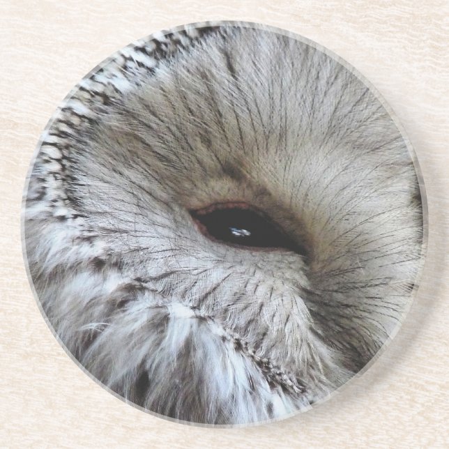 PORTA-COPOS DE ARENITO OWLS (Frente)