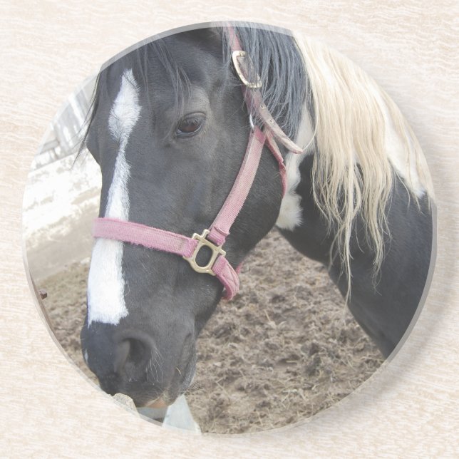 Porta-copos De Arenito Paint Pinto Horse (Frente)