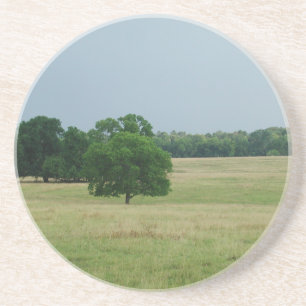 Porta-copos De Arenito Paisagem de Alabama