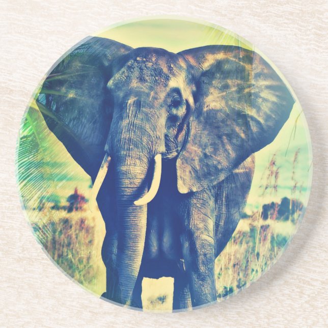 Porta-copos De Arenito Palmas de elefante (Frente)