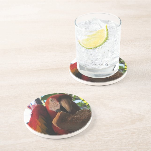 Porta-copos De Arenito Papagaio-De-Maca-Escarlate Comendo Sorrada (Lateral)