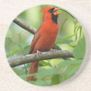 Porta-copos De Arenito Pappa Cardinal Singing!