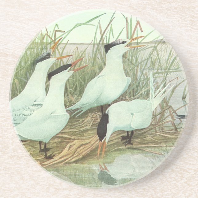 Porta-copos De Arenito Pássaros Marinhos Antigos em uma Marisma por Louis (Frente)