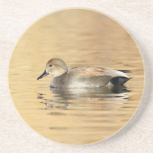 Porta-copos De Arenito Pato de Gadwall Masculino