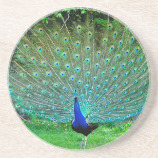 Porta-copos De Arenito Pavão leve