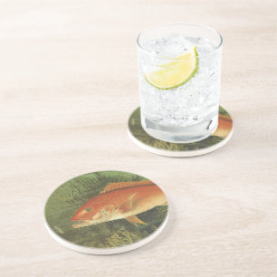 Porta-copos De Arenito Peixe-Snapper Vermelho no Oceano, Vida Marinha Vin