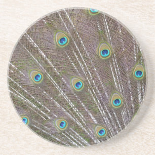 Porta-copos De Arenito Penas de Peacock