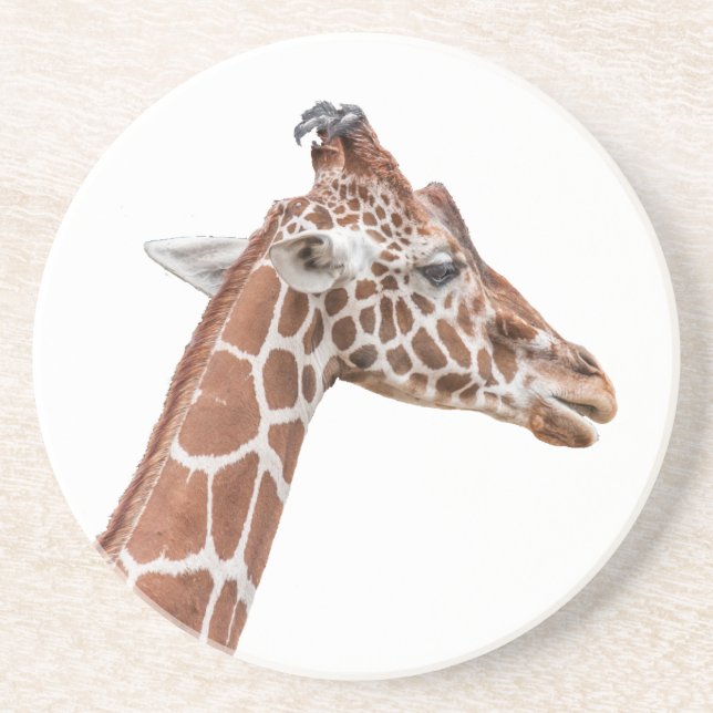 Porta-copos De Arenito perfil Giraffe (Frente)
