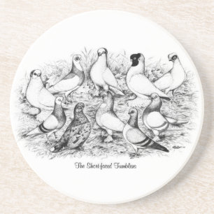 Porta-copos De Arenito Pigeons de Tumbler de faces curtas