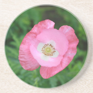 Porta-copos De Arenito Pink Poppy